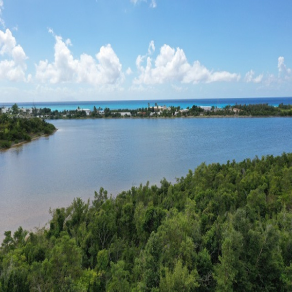Offres de vente Terrain Saint-Martin 97150